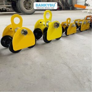 Con chạy trơn SANKYSU