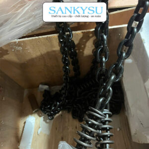 Pa lăng xích điện di chuyển SANKYSU KKBB